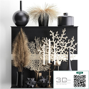 A collection of bouquets of dried flowers in vases on a black metal shelf with pampas, coral, Cortaderia, candlestick. Set 12.